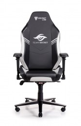 Secretlab OMEGA 2020 Team Secret Secretlab OMEGA 2020 Team Secret