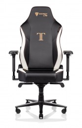 Secretlab TITAN 2020 Classic Secretlab TITAN 2020 Classic