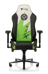 Secretlab TITAN 2020 MSI 2021 Secretlab TITAN 2020 MSI 2021