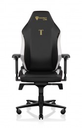 Secretlab TITAN Evo Classic Secretlab TITAN Evo Classic